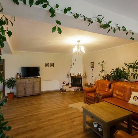 ホテルCasa Florilor Curtea de Argeş エクステリア 写真
