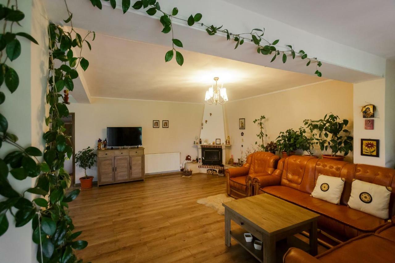 ホテルCasa Florilor Curtea de Argeş エクステリア 写真