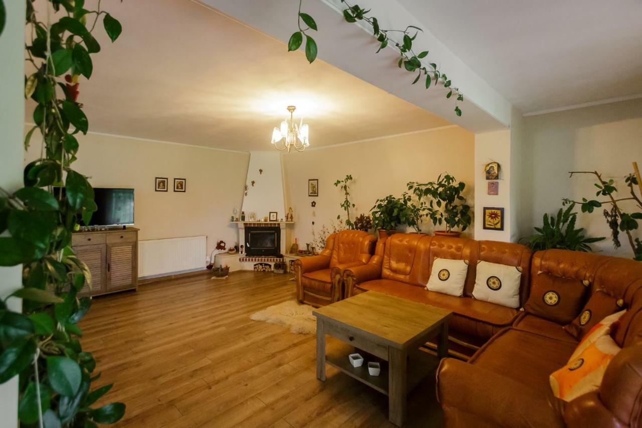 ホテルCasa Florilor Curtea de Argeş エクステリア 写真