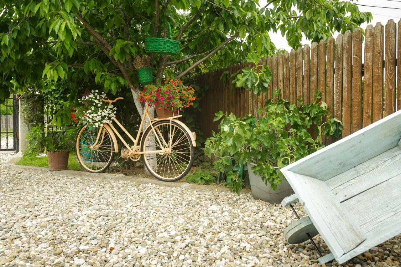 ホテルCasa Florilor Curtea de Argeş エクステリア 写真