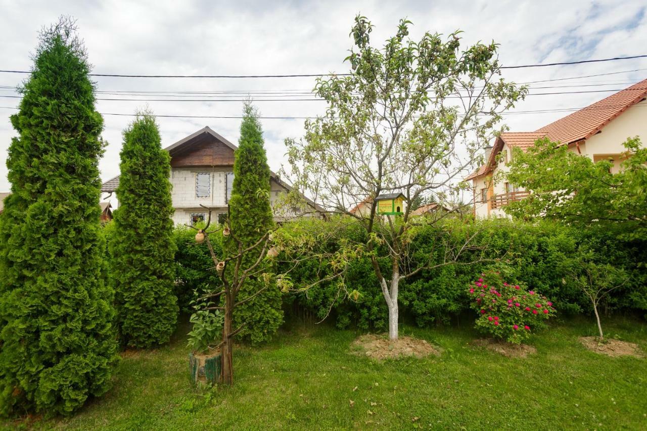 ホテルCasa Florilor Curtea de Argeş エクステリア 写真