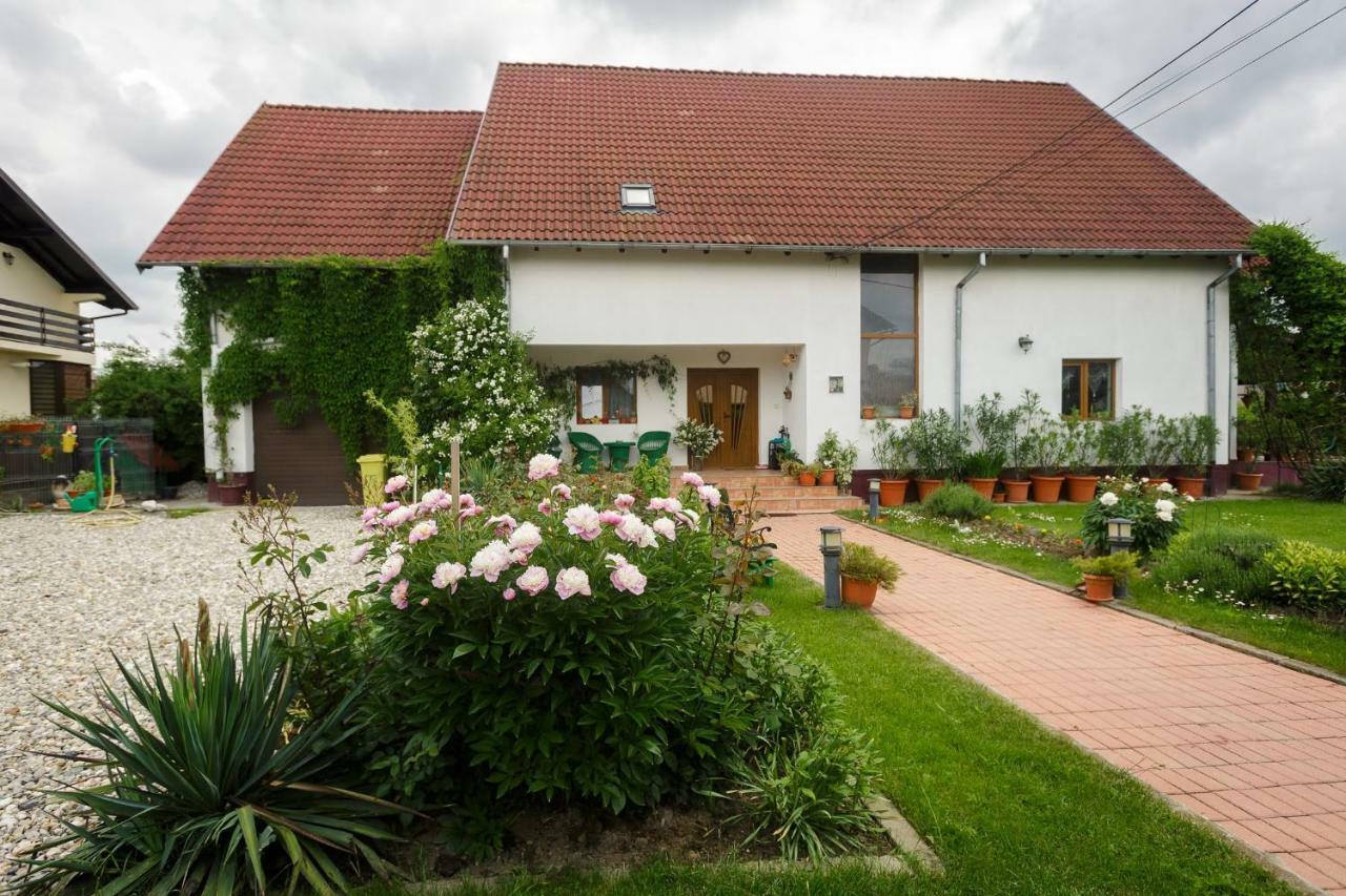 ホテルCasa Florilor Curtea de Argeş エクステリア 写真